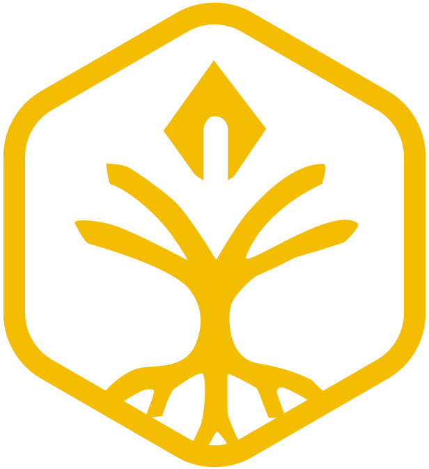 INIT Academy
