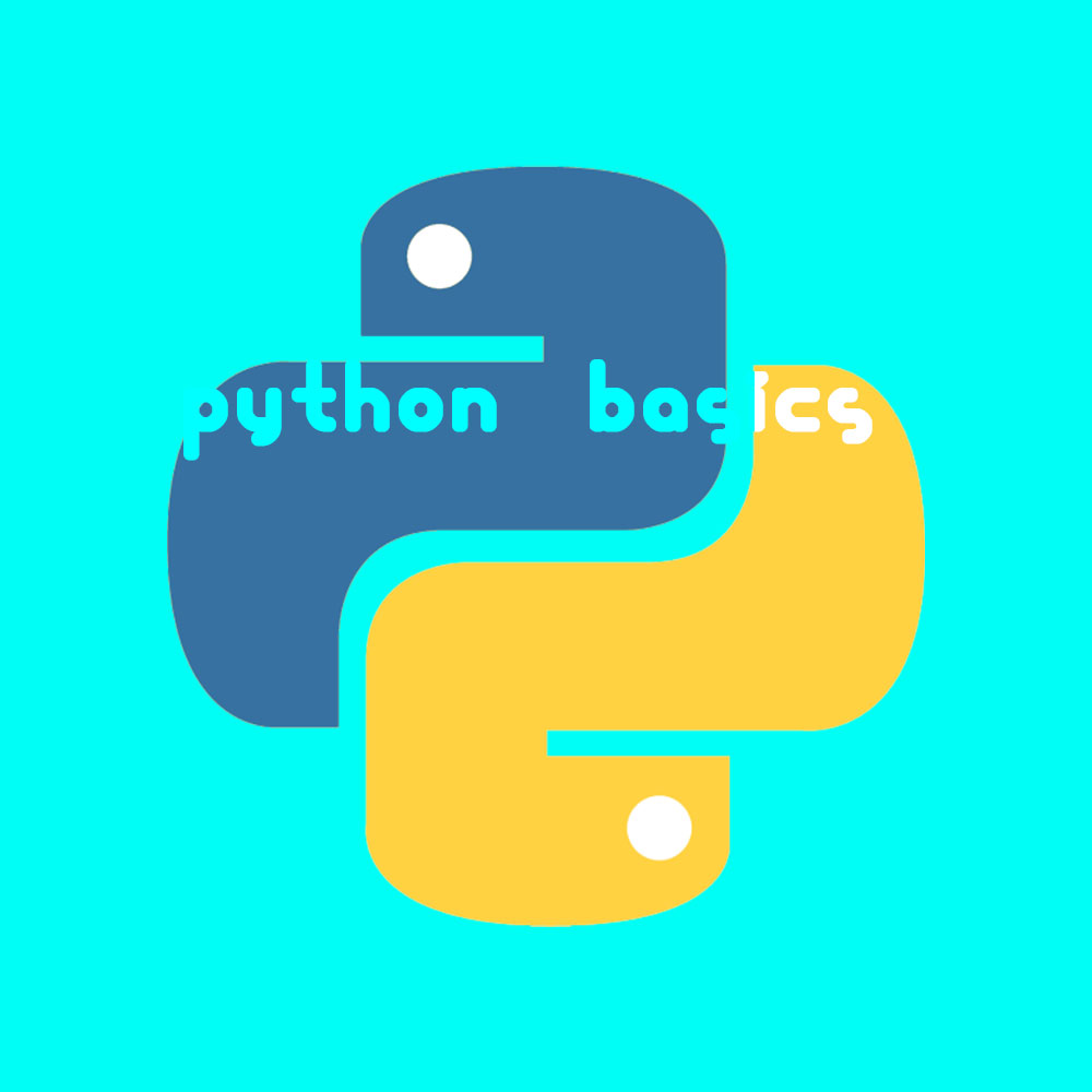 Python Basics