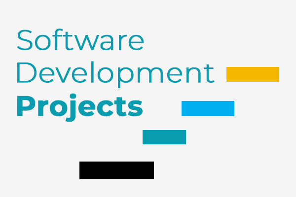 Software projects management by developers and business professionals