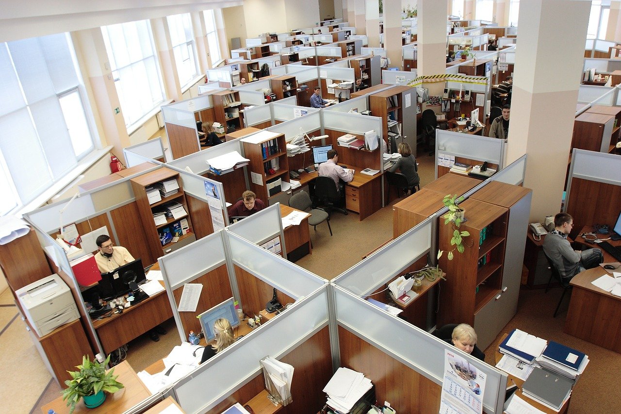 Why software developers leave you